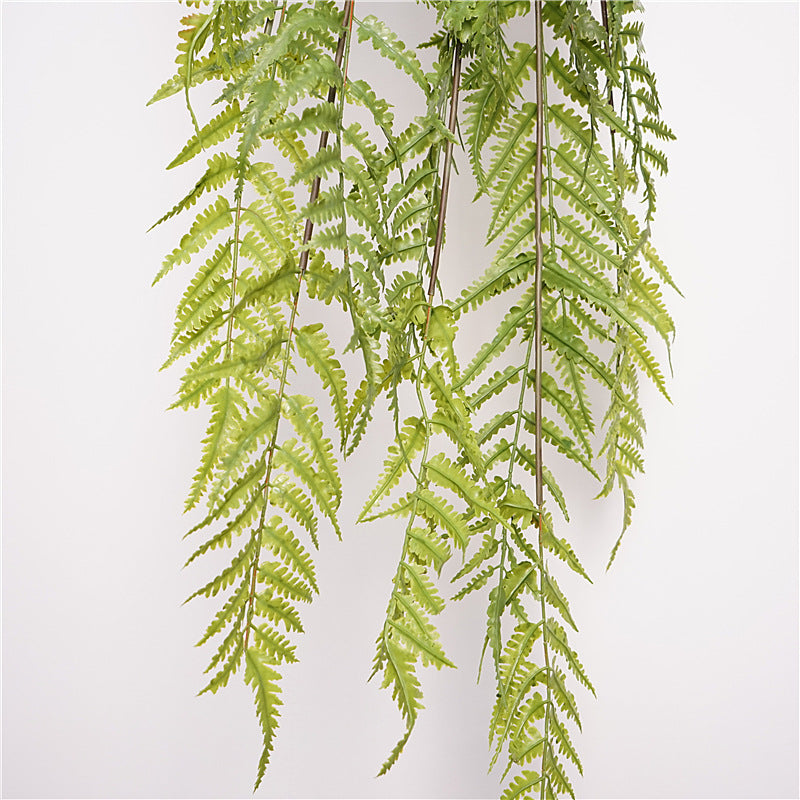 Lush Green Wall-Mounted Hanging Fern Plant - Beautiful Trailing Greenery for Home Decor, Indoor Plants, and Vertical Gardens