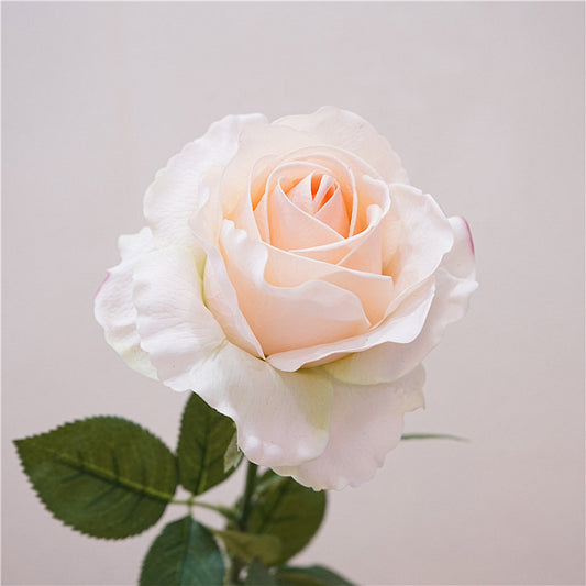 Quality Soft Feel Moisturizing Rose Stem - Elegant Minimalist Floral Decoration for Weddings and Home Decor