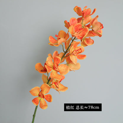 Realistic Phalaenopsis Orchid Silk Flower - Single Stem Elegant Indoor Décor for Living Rooms, Photography Props, and Home Styling