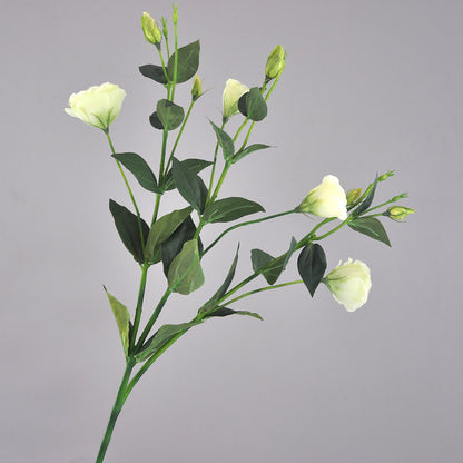 Elegant European-Style Long-Stemmed Faux Campanula Flower – Perfect for Wedding Decor, Home Decoration, and Floral Arrangements with Lifelike Greenery