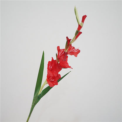 High-Quality European Style Realistic Single Stem Soft Silicone Gladiolus - Perfect for Home Decor, Weddings, and Event Decor