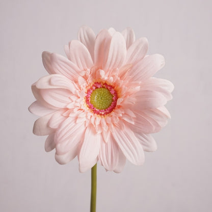 Luxurious Touch Moisturizing African Daisy Realistic Single Stem Faux Flower - Perfect for Home Décor, Soft Furnishings, and Photography