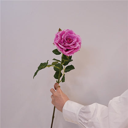 Quality Soft Touch Moisturizing Artificial Rose Flowers for Home Décor, Dining Table Styling, Wedding Decor & Photography Props