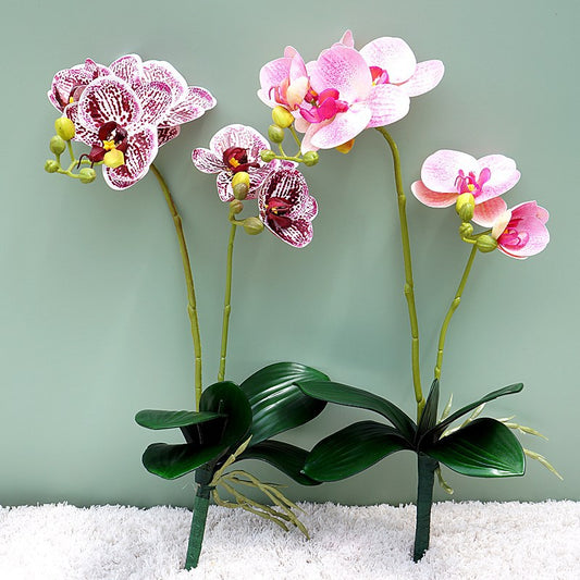 Lifelike Two-Branch Orchid Silk Flowers with Foliage | Perfect for Weddings, Photography, Home Decor & Shop Display | Stunning Simulation Flower Arrangement