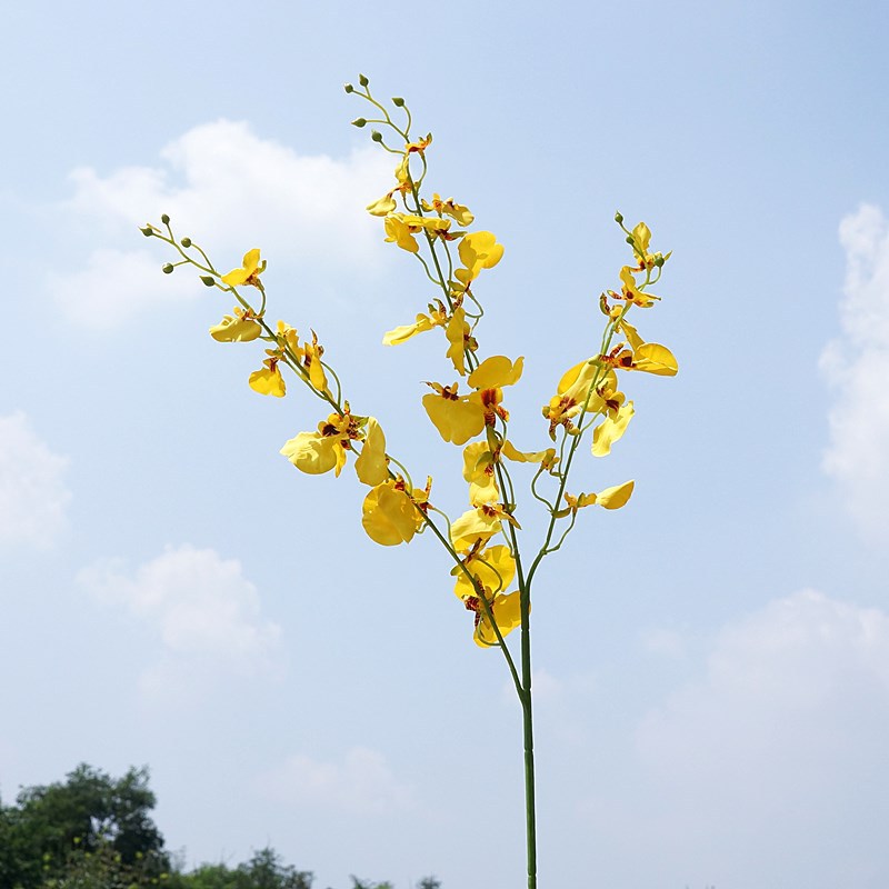 Realistic Dancing Orchid - Single Stem Graceful Phalaenopsis Faux Flower for Wedding, Photography, and Home Decor