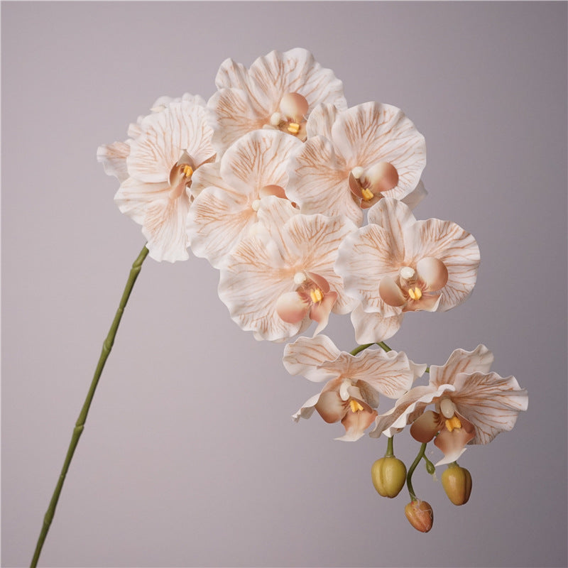 9-Stem European-Style Orchid Bloom Arrangement – Chic Korean-Inspired Floral Decor for Stunning Photography and Elegant Home Decor